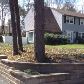Hardscaping and Plantings